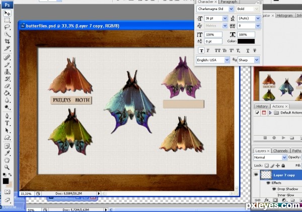 Creation of Butterfly colection: Step 9